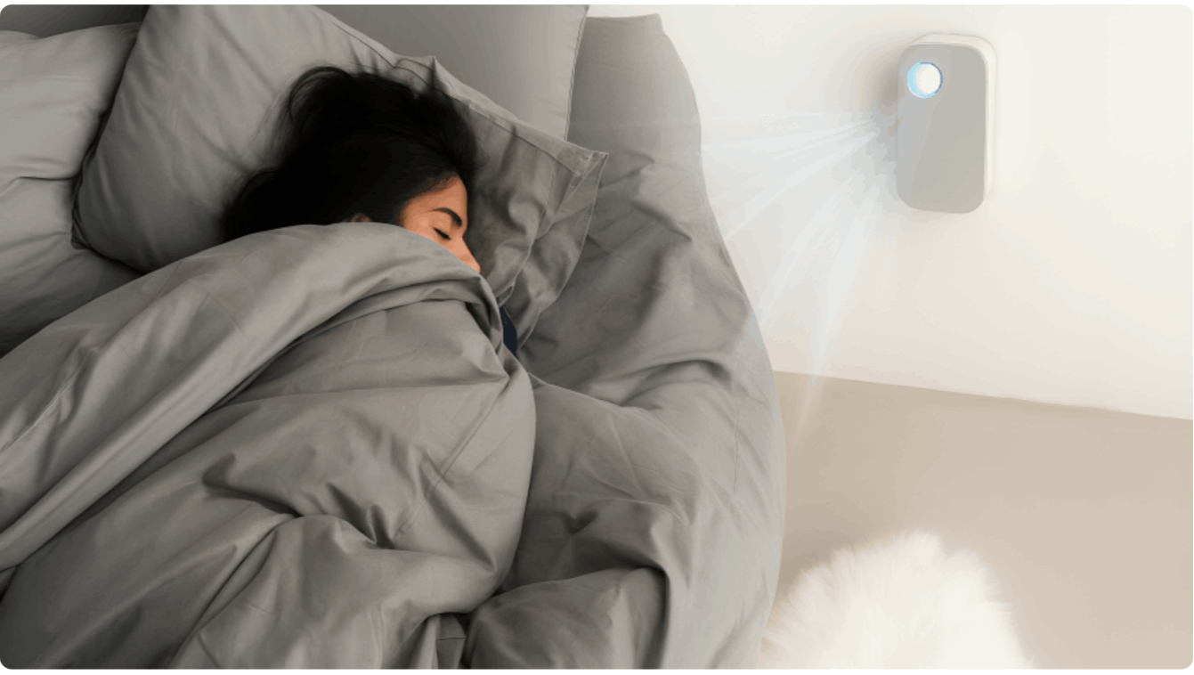 IonFix Air Purifier order now